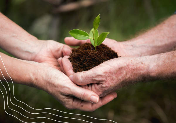 Sustentabilidad, ¿qué es?